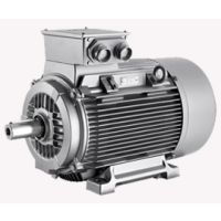 Low Voltage Motors for Industrial Machinery, Pumps and Fans